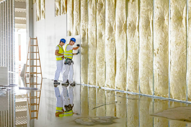 Best Eco-Friendly Insulation in Thornville, OH